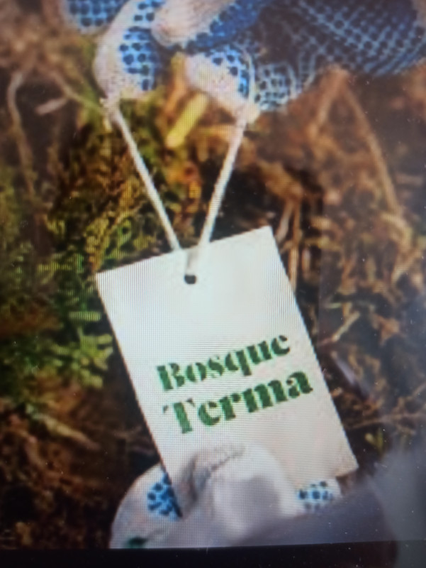 Subodh R. Seller1 Company